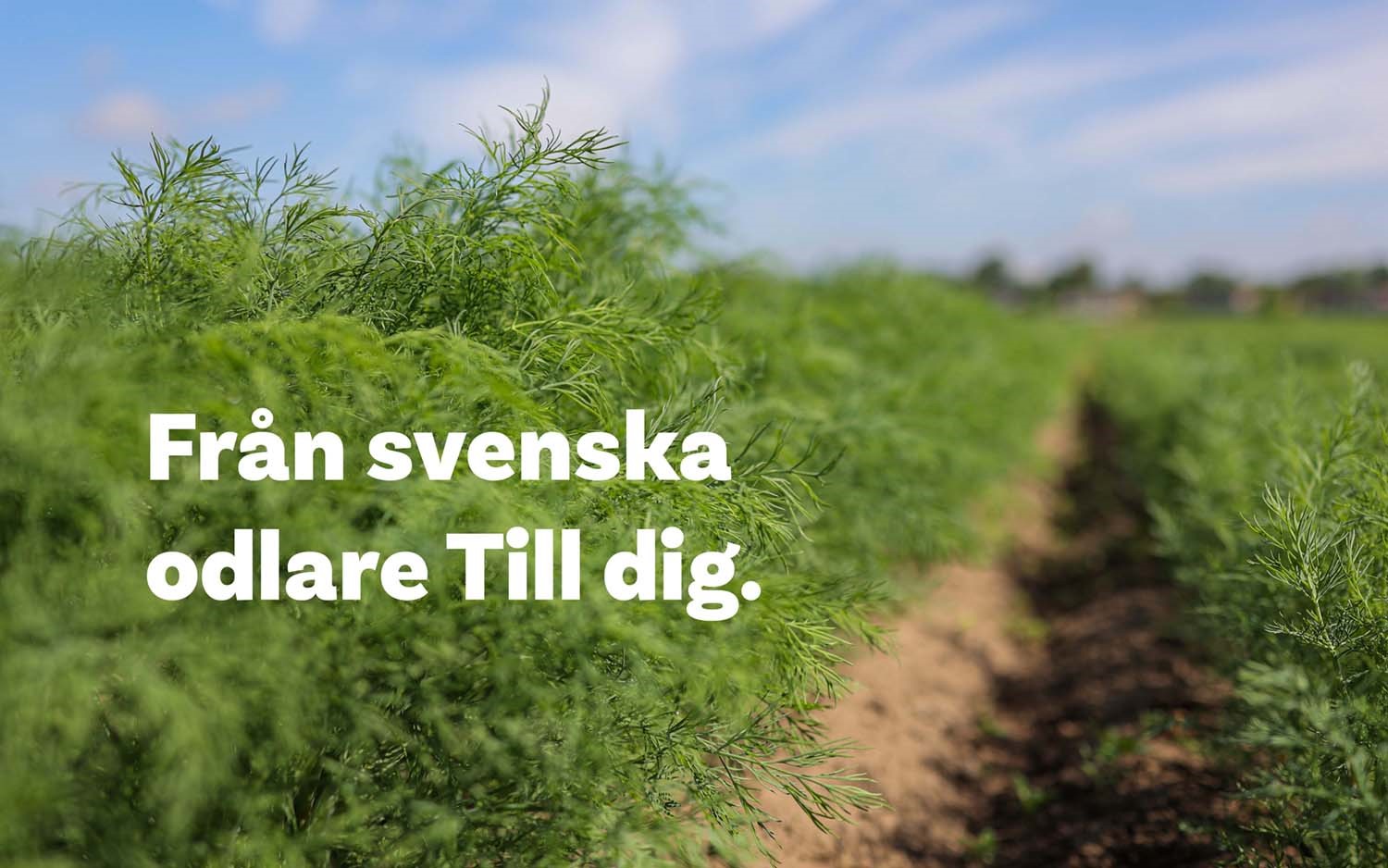 Hållbarhetsrapport
