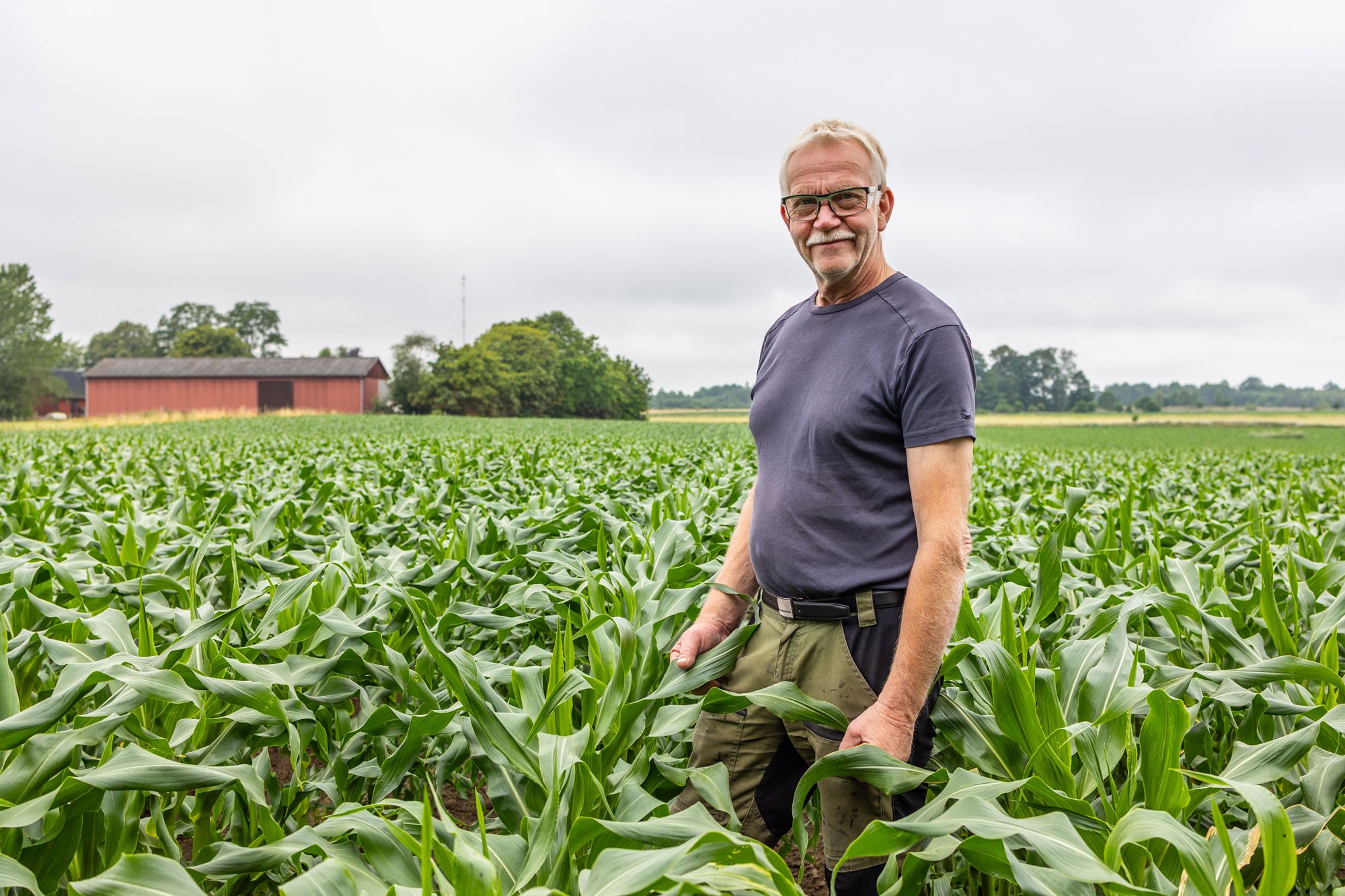 Väx tillsammans med oss